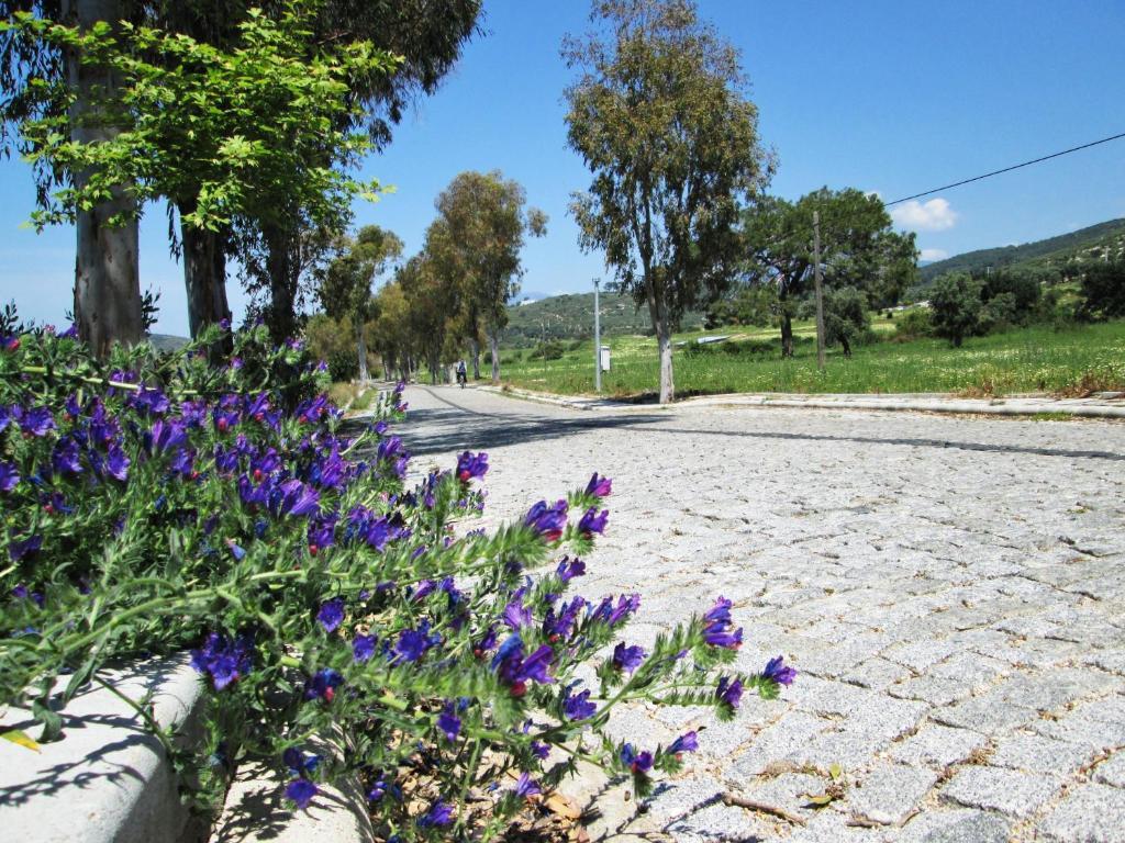 Zeybek 1 Pension Patara Esterno foto